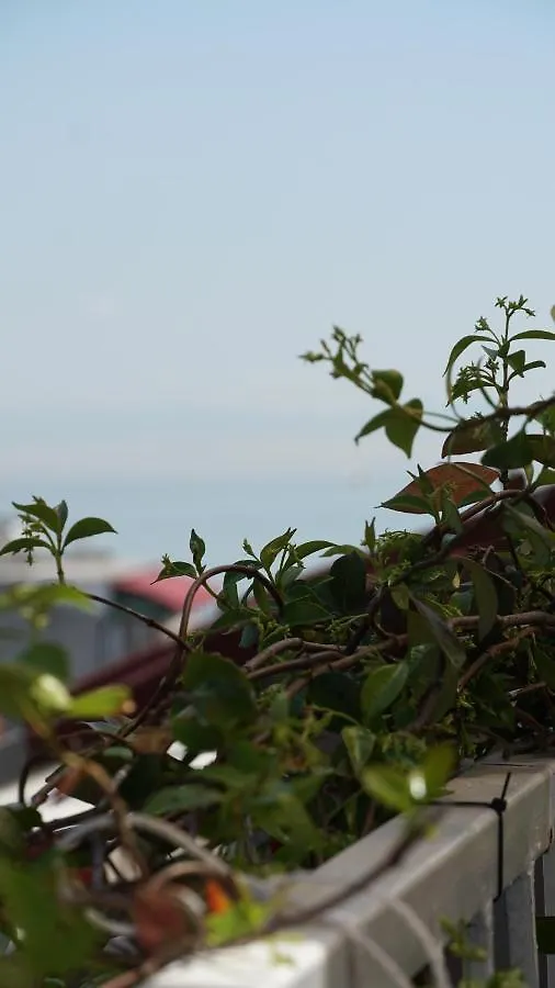 Boutique Sultan Hotel Estambul